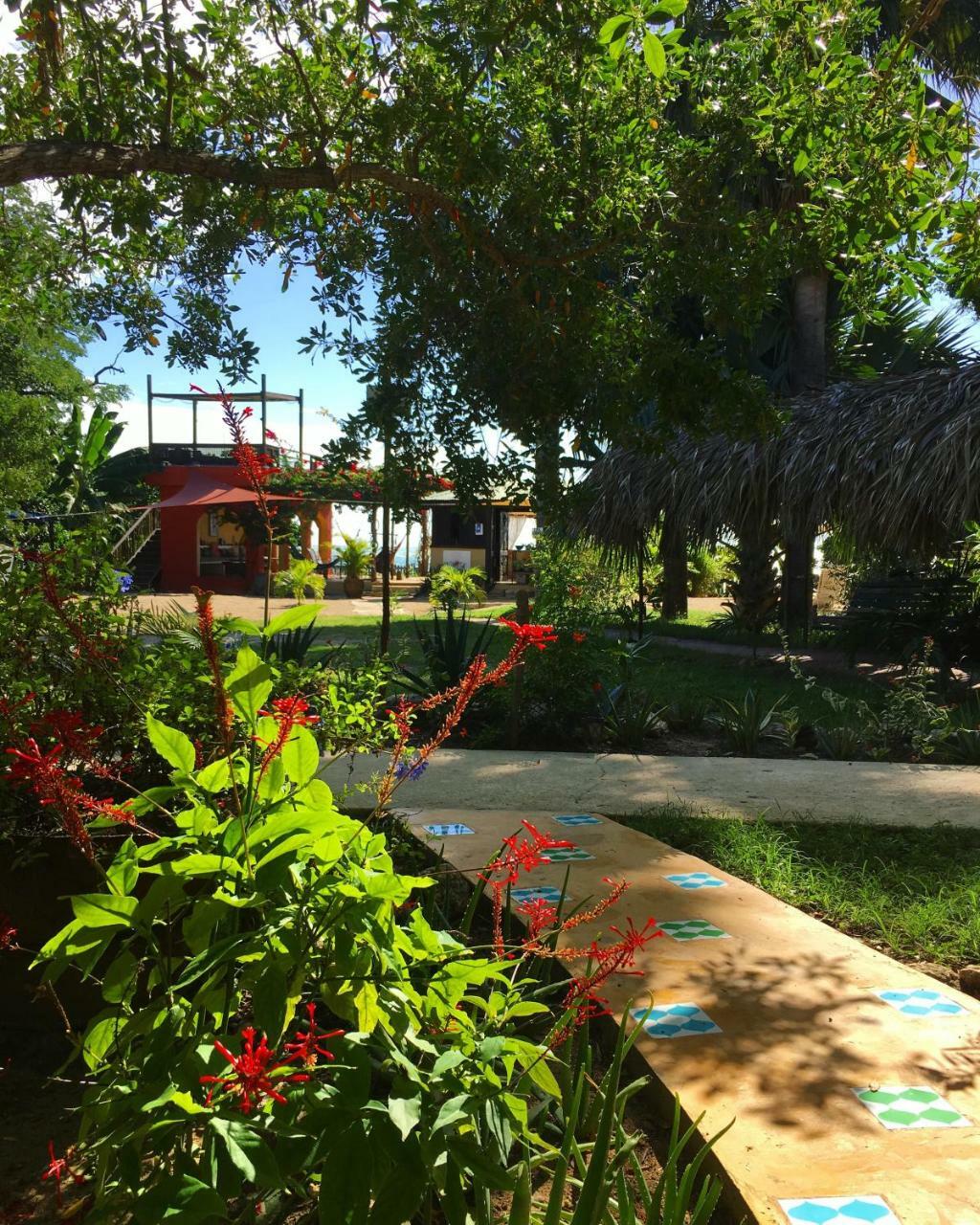 Katamah Beachfront Guesthouse Treasure Beach Kültér fotó