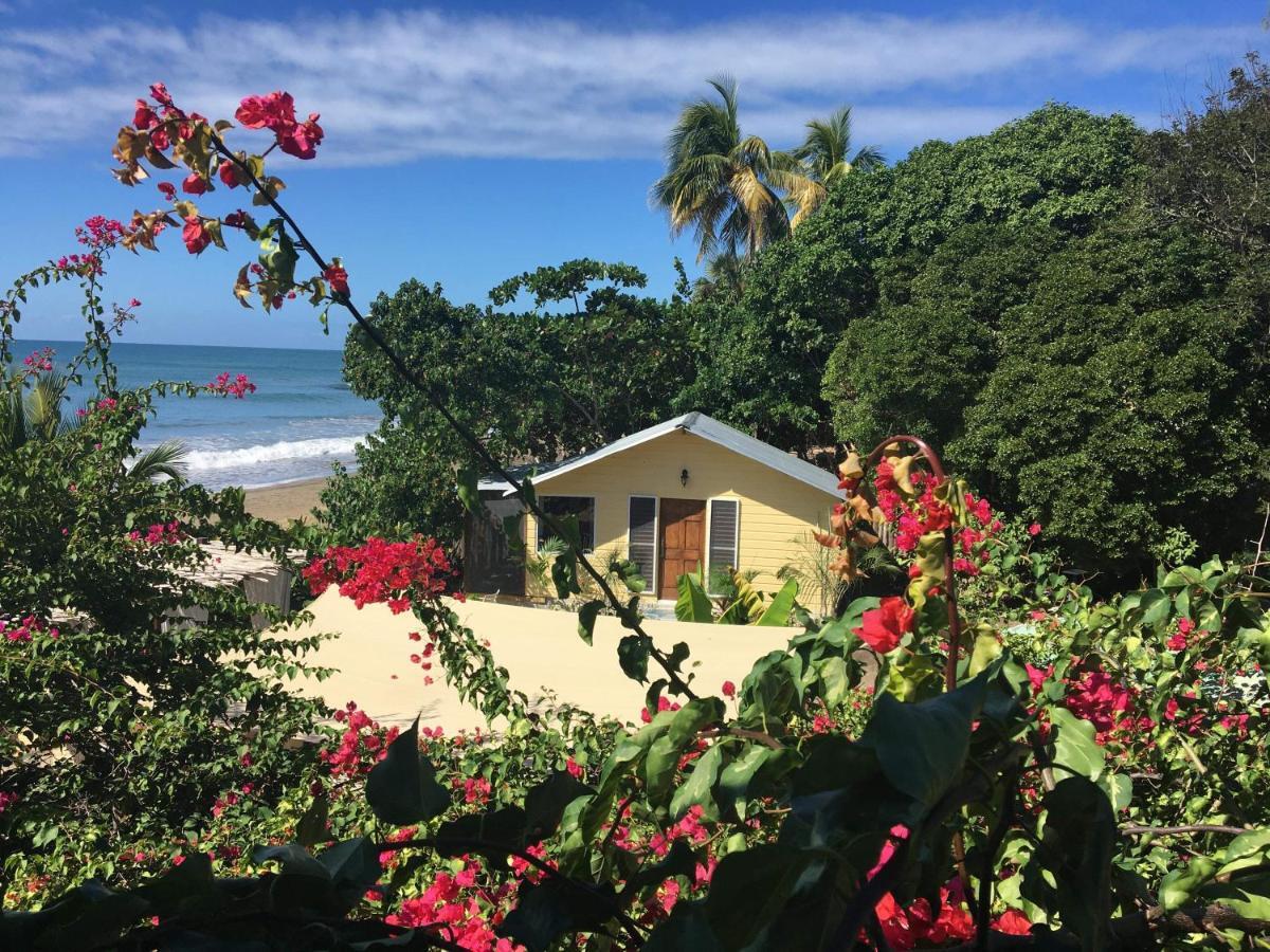 Katamah Beachfront Guesthouse Treasure Beach Kültér fotó